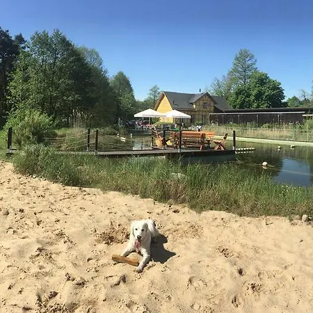 Гостевой дом Museumsherberge Glashuette 3*